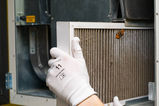 Best Affordable Duct Cleaning Services  in Janesville, CA