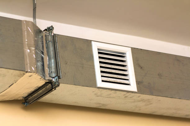 Best Home Air Vent Cleaning  in Janesville, CA
